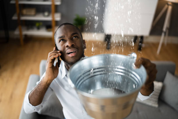 Best Professional water damage repair  in Norton, OH