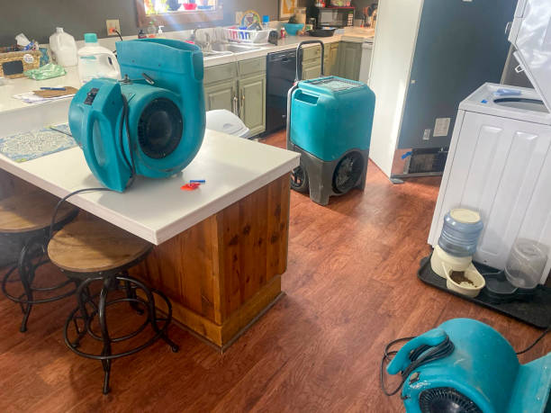 Best Carpet water damage restoration  in Norton, OH