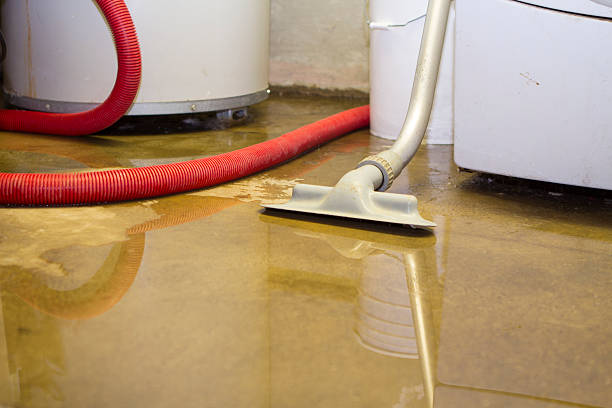 Best 24/7 water damage repair  in Norton, OH