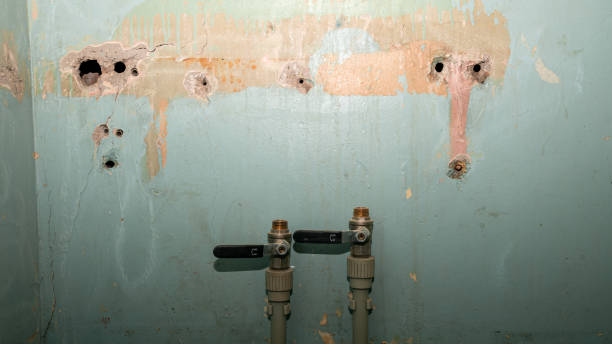 Best Mold removal after water damage  in Norton, OH